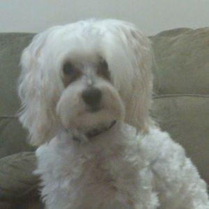 Meet your Posher, Melane